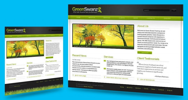 studio-wonders-greenswanz